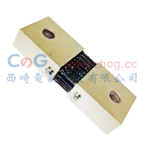 FL-19 1000A分流器