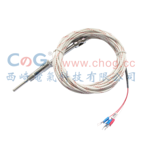WZPT-01壓簧式熱電阻